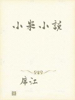 小米小说