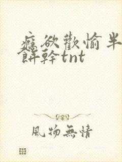 瘾欲欢愉半块小饼干tnt