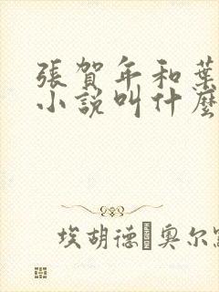 张贺年和叶繁姿小说叫什么名字