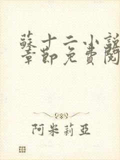 苏十二小说最新章节免费阅读