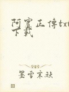 阿宾正传txt下载