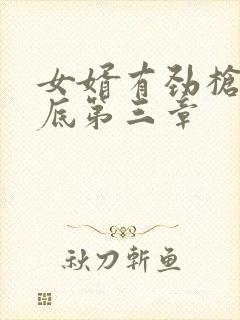 女婿有劲枪枪到底第三章