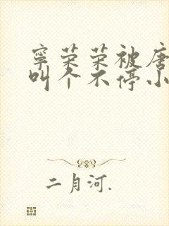 宁荣荣被唐三桶叫个不停小说