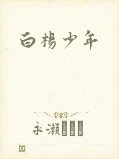 白杨少年