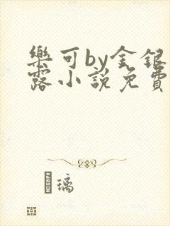 乐可by金银花露小说免费阅读封面