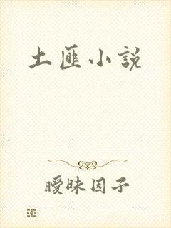 土匪小说