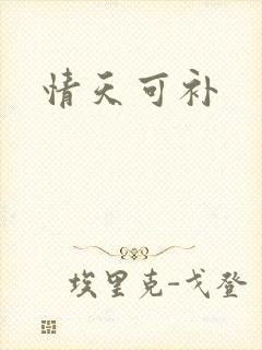 情天可补