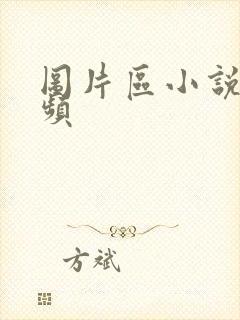 图片区小说区视频