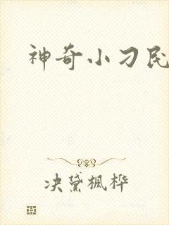 神奇小刁民