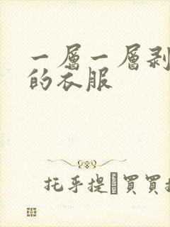 一层一层剥掉你的衣服