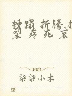 糟蹋 折腾 撕裂 疼 死 哀求