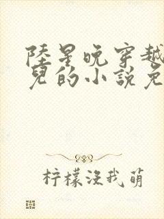 陆星晚穿越成婴儿的小说免费阅读全文