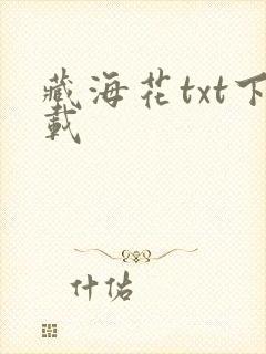 藏海花txt下载
