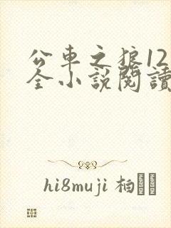 公车之狼12集全小说阅读