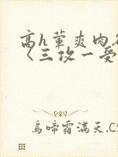 高h荤爽肉欲文〈三攻一受