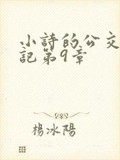 小诗的公交车日记第9章