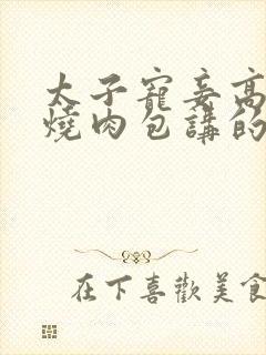 太子宠妾高肉红烧肉包讲的什么