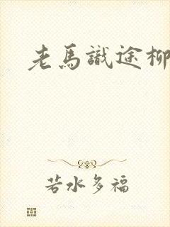 老马识途柳娇娇