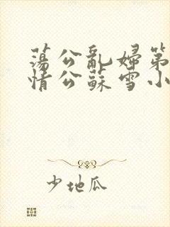 荡公乱妇第1章情公苏雪小说