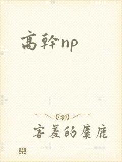 高干np