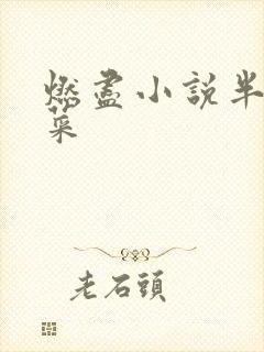 燃尽小说半截白菜