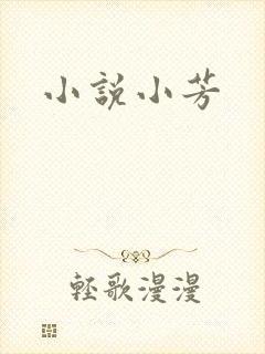 小说小芳