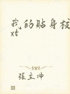 我的贴身校花txt封面