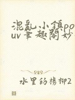混乱小镇popuv笔趣阁妙妙