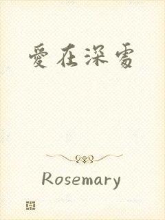 爱在深处