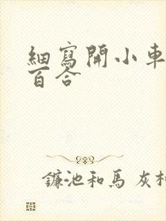 细写开小车车的百合