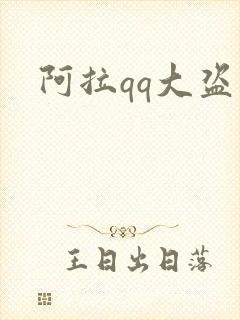 阿拉qq大盗