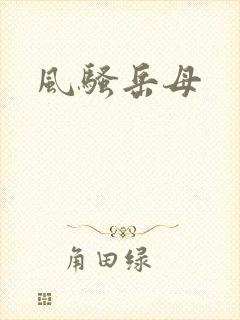 风骚岳母
