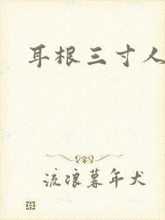 耳根三寸人间