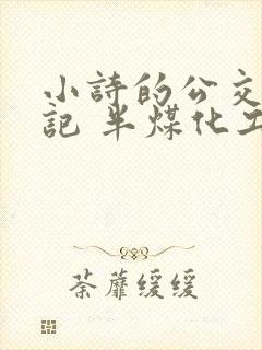 小诗的公交车日记 半煤化工