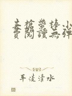 夹枪带棒小说免费阅读无弹窗笔趣