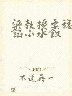 梁教授要稳住肉馅小水饺