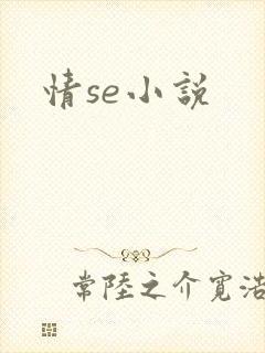情se小说