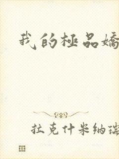 我的极品娇妻封面