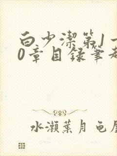 白少洁第1一40章目录笔趣阁