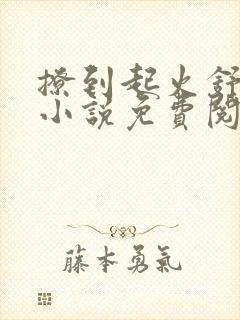 撩到起火舒漾的小说免费阅读全文