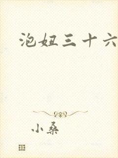 《泡妞三十六计》小说封面