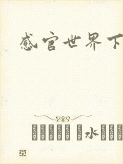 感官世界下载