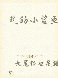 我的小鲨鱼