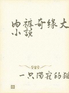 内裤奇缘大团结小说