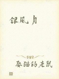 银风月封面