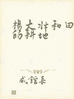 杨大壮和田桂花的耕地