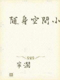 随身空间小说