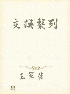 《交换系列》小说封面