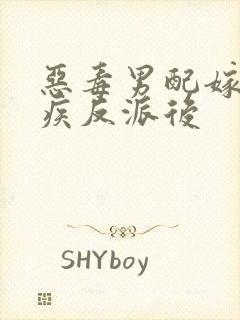 恶毒男配嫁给残疾反派后