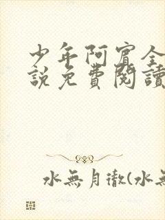 少年阿宾全文小说免费阅读笔趣阁